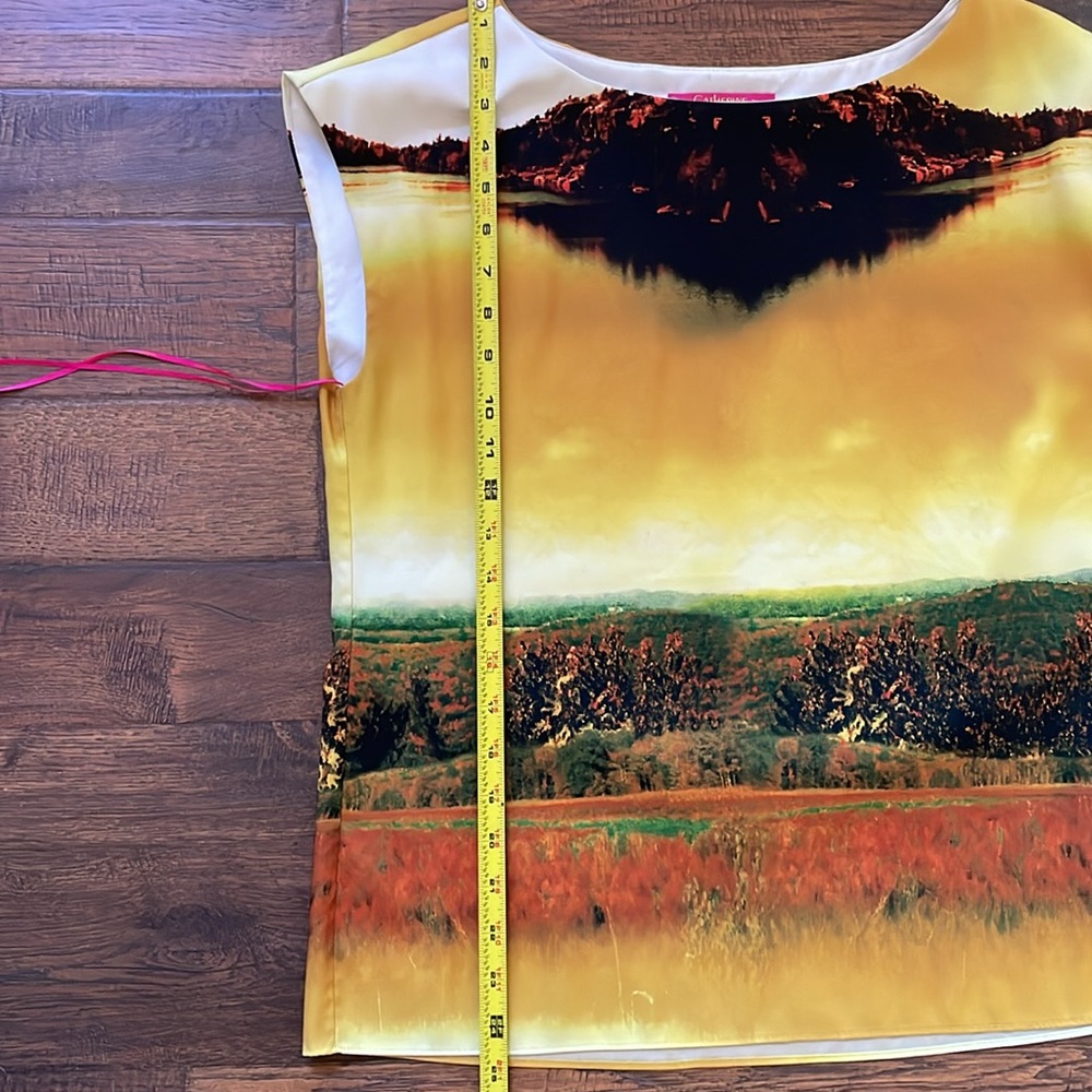 Catherine Malandrino landscape top - Picture 9 of 11